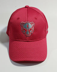 Big Bear Jersey Mesh Cap